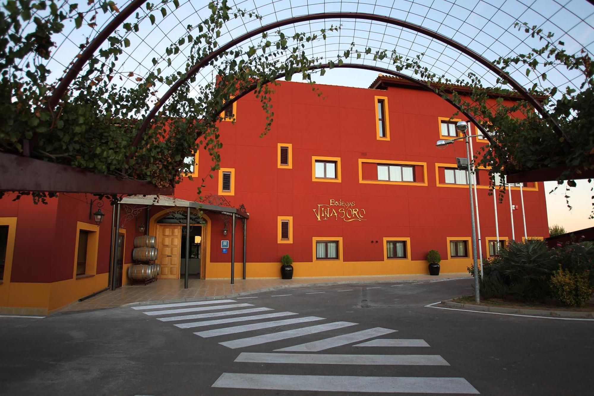 Hotel Chateau Vinasoro Alcazar de San Juan Kültér fotó